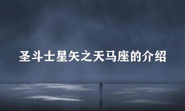 圣斗士星矢之天马座的介绍