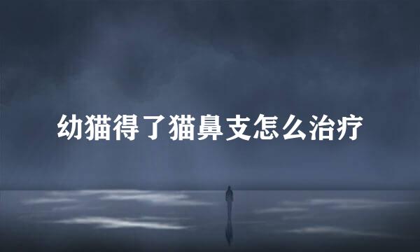 幼猫得了猫鼻支怎么治疗