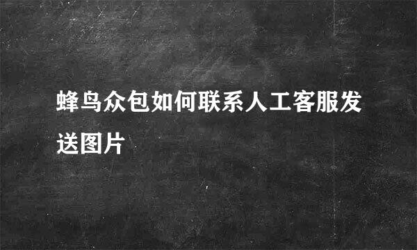 蜂鸟众包如何联系人工客服发送图片