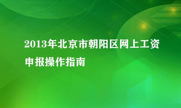 2013年北京市朝阳区网上工资申报操作指南