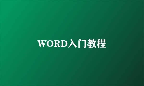 WORD入门教程