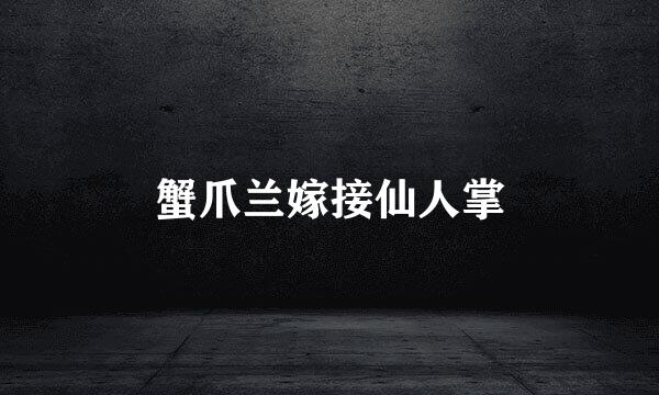 蟹爪兰嫁接仙人掌