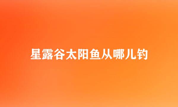 星露谷太阳鱼从哪儿钓