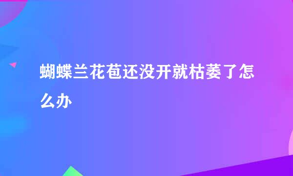 蝴蝶兰花苞还没开就枯萎了怎么办