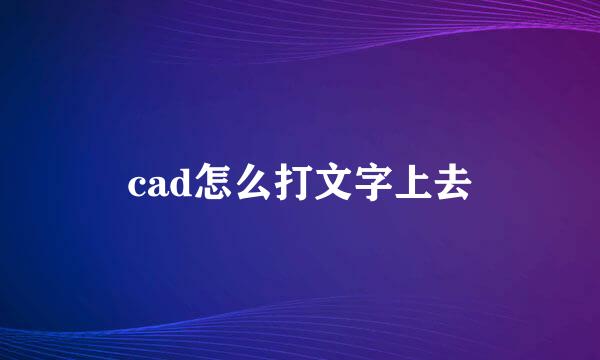 cad怎么打文字上去