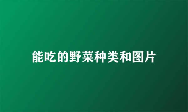 能吃的野菜种类和图片