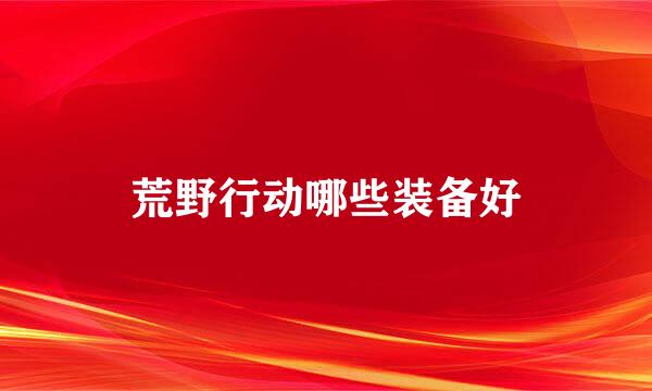 荒野行动哪些装备好