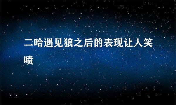 二哈遇见狼之后的表现让人笑喷