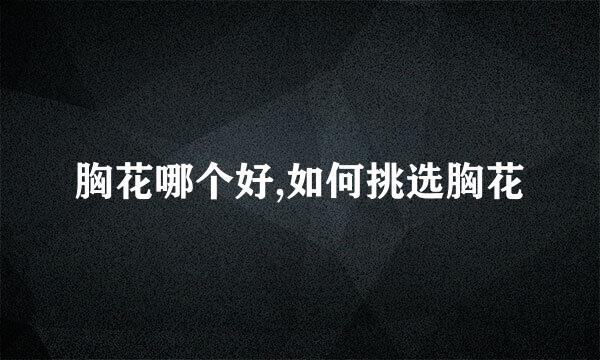 胸花哪个好,如何挑选胸花