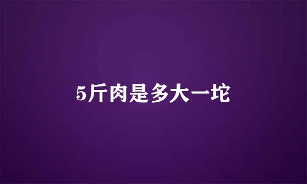 5斤肉是多大一坨