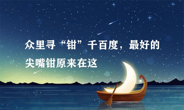 众里寻“钳”千百度，最好的尖嘴钳原来在这