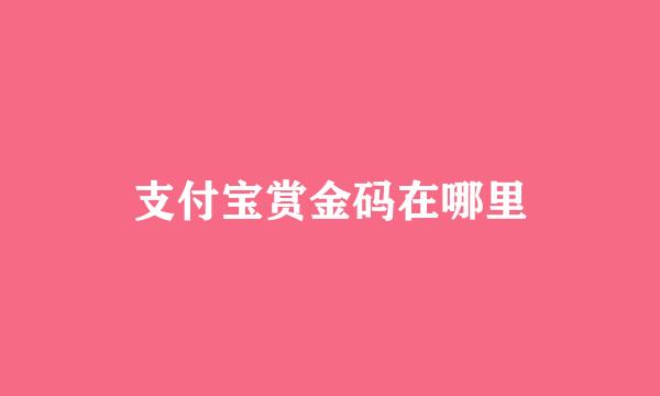 支付宝赏金码在哪里