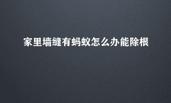家里墙缝有蚂蚁怎么办能除根