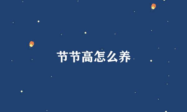 节节高怎么养
