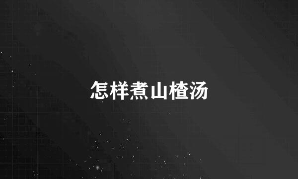 怎样煮山楂汤
