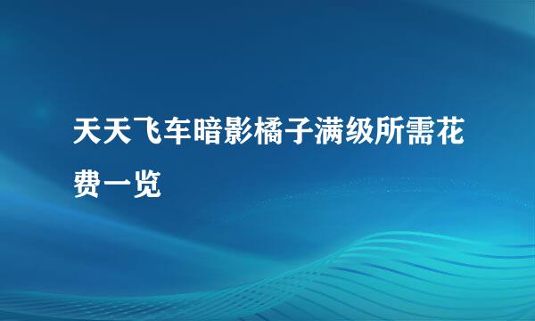 天天飞车暗影橘子满级所需花费一览