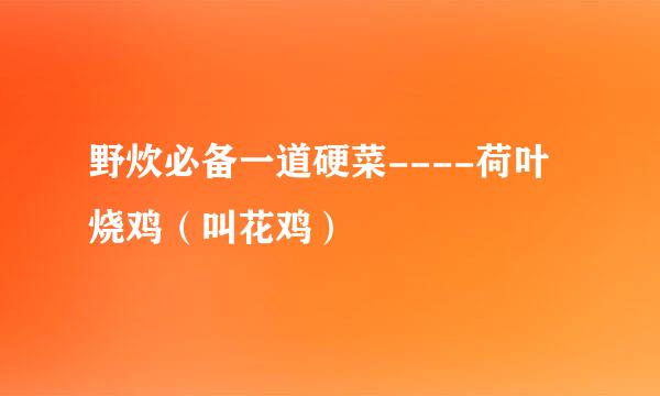 野炊必备一道硬菜----荷叶烧鸡（叫花鸡）