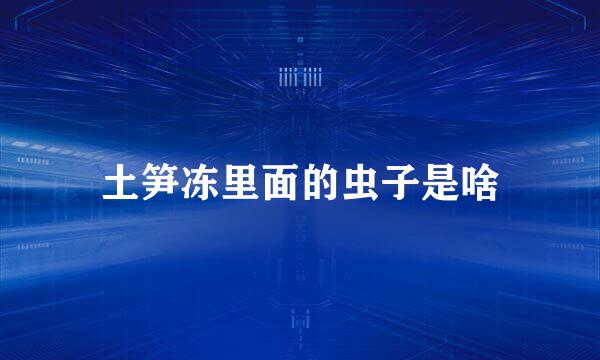 土笋冻里面的虫子是啥