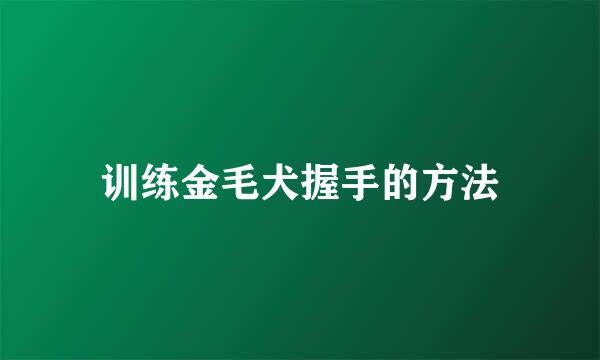 训练金毛犬握手的方法