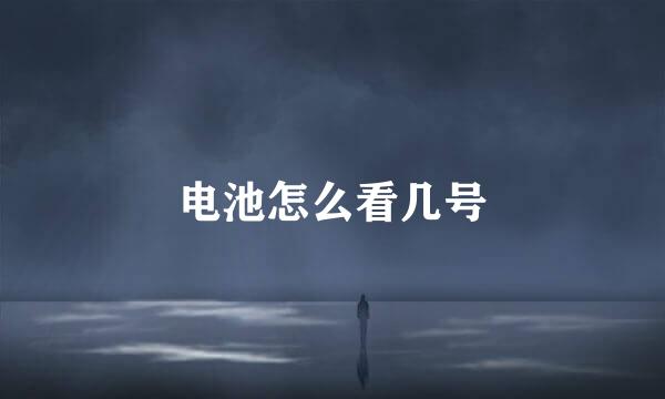 电池怎么看几号