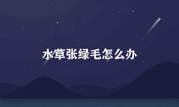 水草张绿毛怎么办