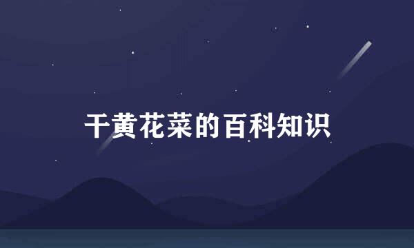 干黄花菜的百科知识