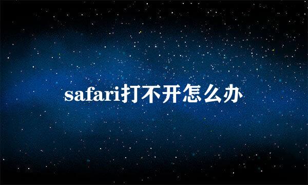 safari打不开怎么办