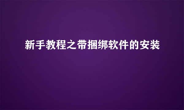 新手教程之带捆绑软件的安装