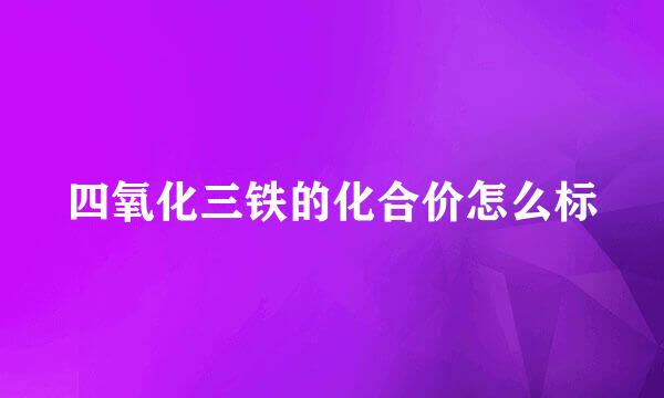 四氧化三铁的化合价怎么标