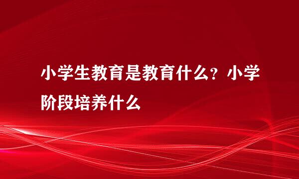 小学生教育是教育什么？小学阶段培养什么
