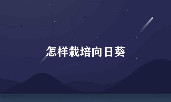 怎样栽培向日葵