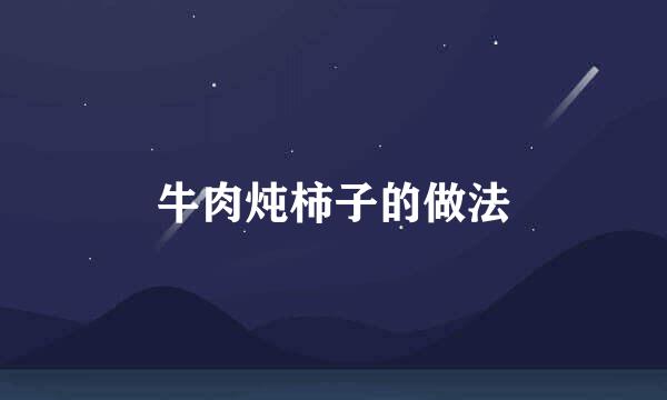 牛肉炖柿子的做法