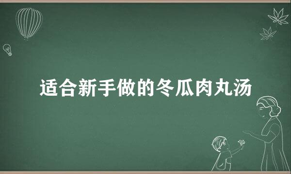 适合新手做的冬瓜肉丸汤