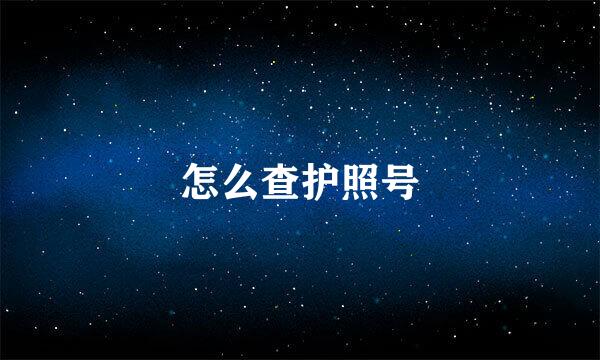 怎么查护照号