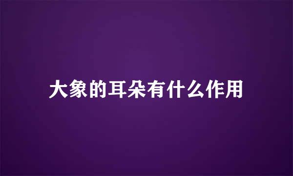 大象的耳朵有什么作用