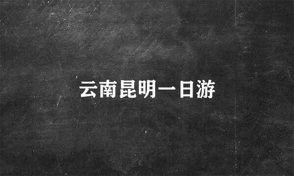 云南昆明一日游