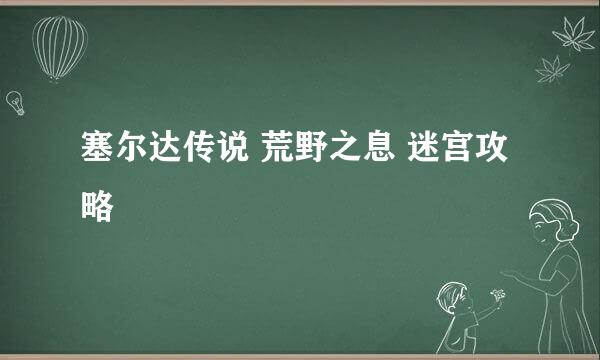 塞尔达传说 荒野之息 迷宫攻略