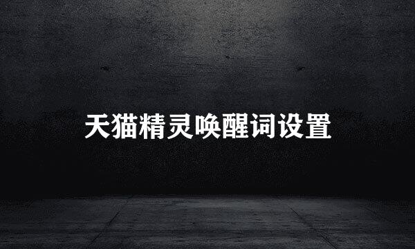 天猫精灵唤醒词设置