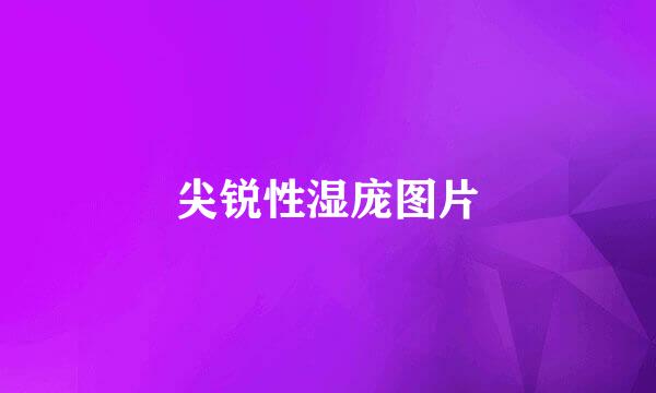 尖锐性湿庞图片