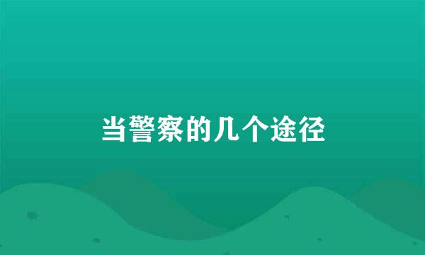 当警察的几个途径