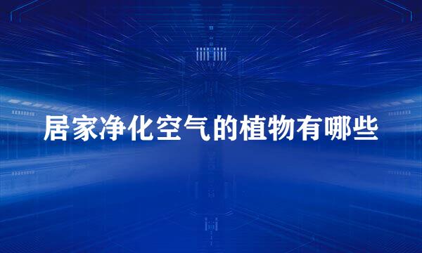 居家净化空气的植物有哪些