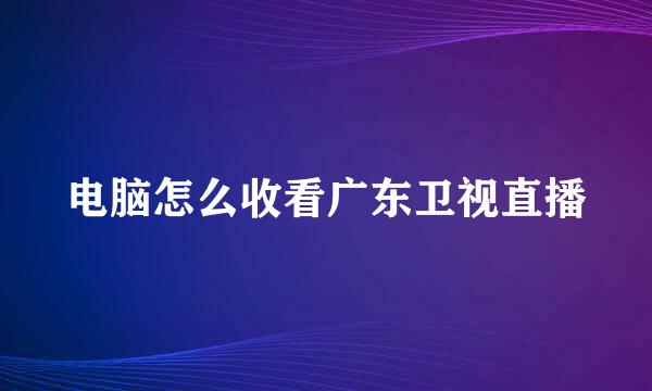 电脑怎么收看广东卫视直播