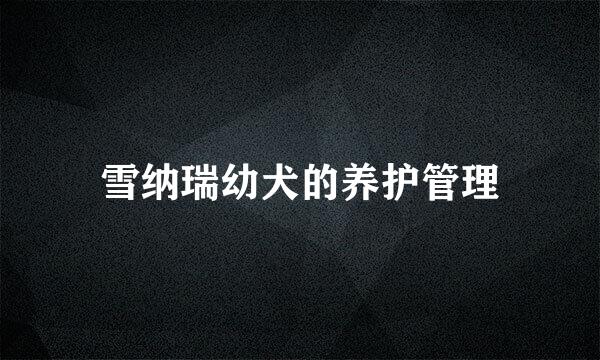 雪纳瑞幼犬的养护管理