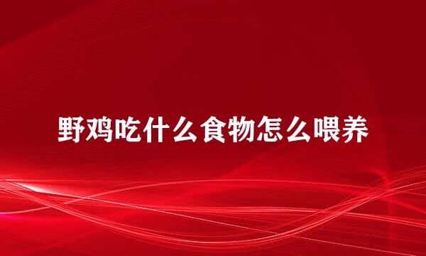 野鸡吃什么食物怎么喂养
