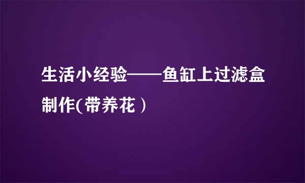 生活小经验——鱼缸上过滤盒制作(带养花）
