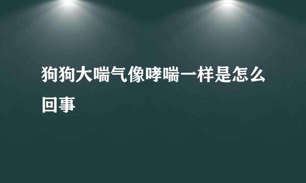 狗狗大喘气像哮喘一样是怎么回事