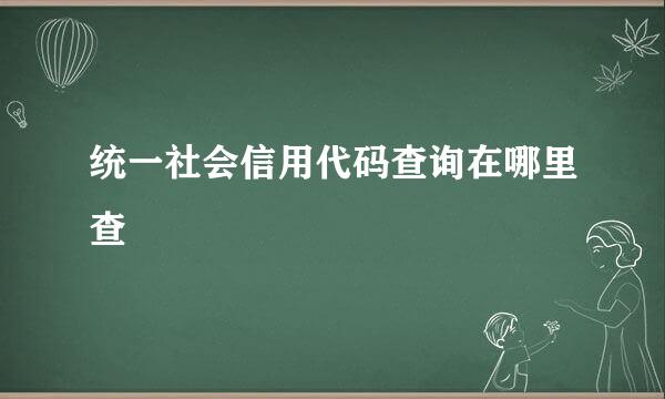 统一社会信用代码查询在哪里查