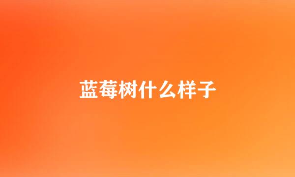 蓝莓树什么样子