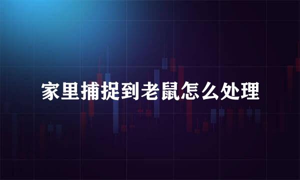 家里捕捉到老鼠怎么处理