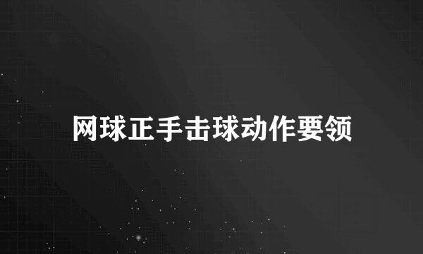 网球正手击球动作要领